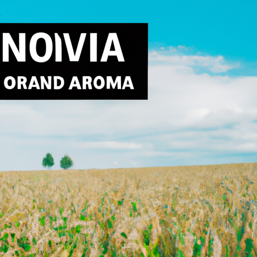 Rozdíly mezi denními bonusy a promo akcemi: Průvodce pro nováčky