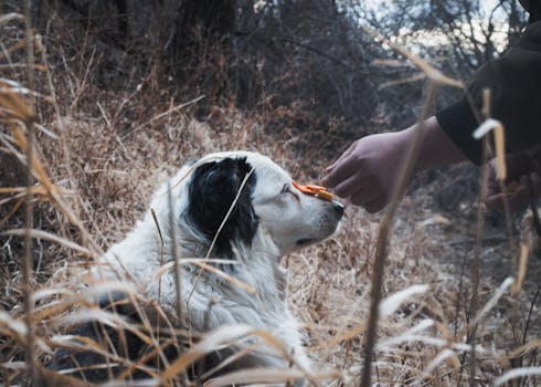 Promo Bonusy vs. Věrnostní Odměny: Jaký Je Rozdíl?
